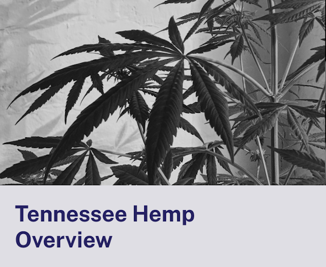 Tennessee Hemp Overview.png