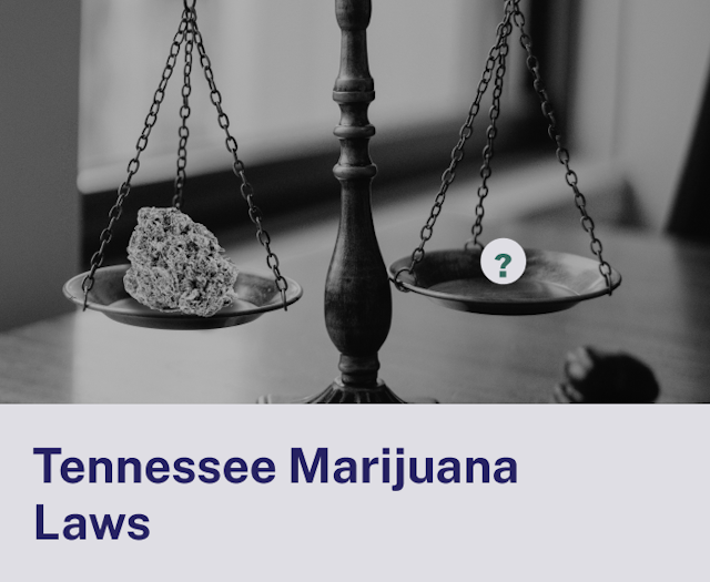 Tennessee Laws.png