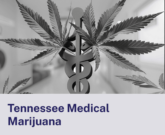 Tennessee Medical.png
